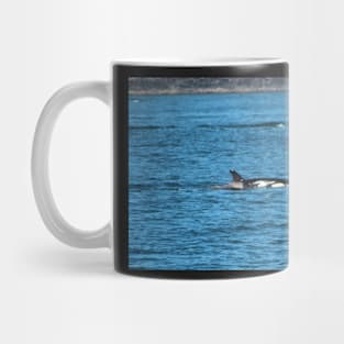 Killer Whale breaching the surface Mug